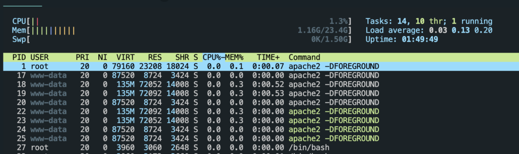 Docker htop native